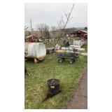 BELLE of Georgia peach dwarf tree