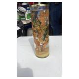 Butterfly in a jar