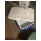 Coleman cooler