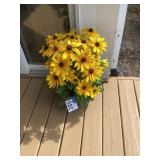 Planter w/Black Eyed Susans