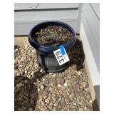 Ceramic Planter