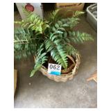 Basket w/Artificial Fern