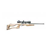 Ruger 10/22 semi-automatic rifle in .22 LR.