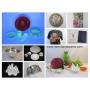 February 24 Art Glass, Coins & Collectibles