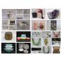 March 31 Jewelry, Silver, Collectibles & More