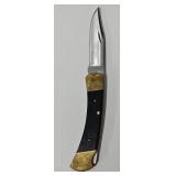 Buck #110 Lock Blade Folding Knife