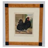 Chromolithograph Print "Black Frizzled Fowls"