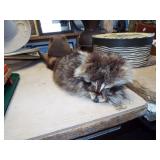 COON SKIN HAT COON SKIN HAT