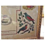 DISTELFINK ON FRAKTUR DISTELFINK ON FRAKTUR