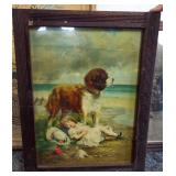 St. bernard picture St. bernard picture