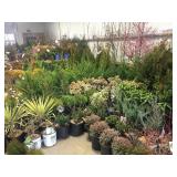 Lawn & Garden Auction