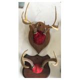 WALL MOUNTED DEER ANTLERS WALL MOUNTED DEER ANTLERS