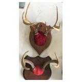 WALL MOUNTED DEER ANTLERS