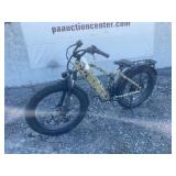 Hunter Xprit 48V E-Bike-Woodland