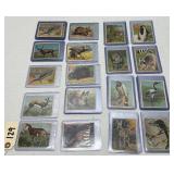 (48) Hassan Tobacco Cards featuring Animals