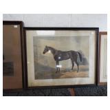FRAMED HORSE PRINT