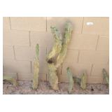 6x assorted size totem pole cactus