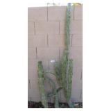 3x Assorted size totem Pole Catus