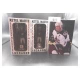 Arizona Coyotes Bobble Head And Diamondback