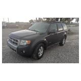 2009 Ford Escape Hybrid Base