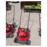 Craftsman M110 Push Mower