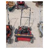 Murray Push Mower