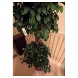 Artificial Tree