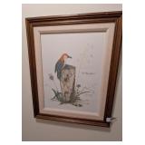 Larry Fletcher Print 361/500- Red Bellied Woodpecr