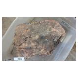 Large Pc. of Petrified Wood