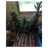 (4) Christmas Trees