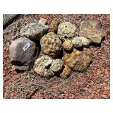 Geodes & Rock