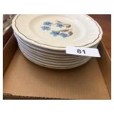 Everyday Plates