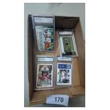 Sports Trading Cards