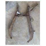 Vintage Horse Harness?