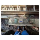 Small Live Trap