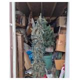 Contents of Shed