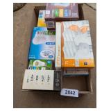Assorted Light Bulbs