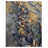 Large Quantity Landscape Rocks