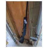 Daisy Rogers BB Gun