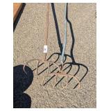 (2) Forks