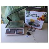 Electronic Pricing Scale