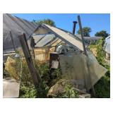 Greenhouse & Wood Stove