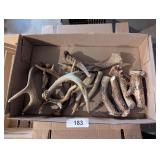 Small Deer Antlers