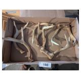 Small Deer Antlers