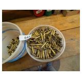 Brass Shell Casings
