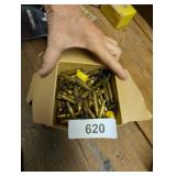 Brass Shell Casings