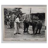 HATARI Picture Howard Hawks 8x10 Paramount Relea