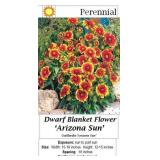 Arizona Sun Dwarf Blanket Flower