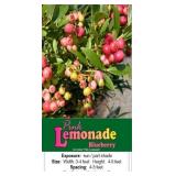 Blueberry Pink Lemonade