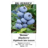 Blueberry Patch Collection